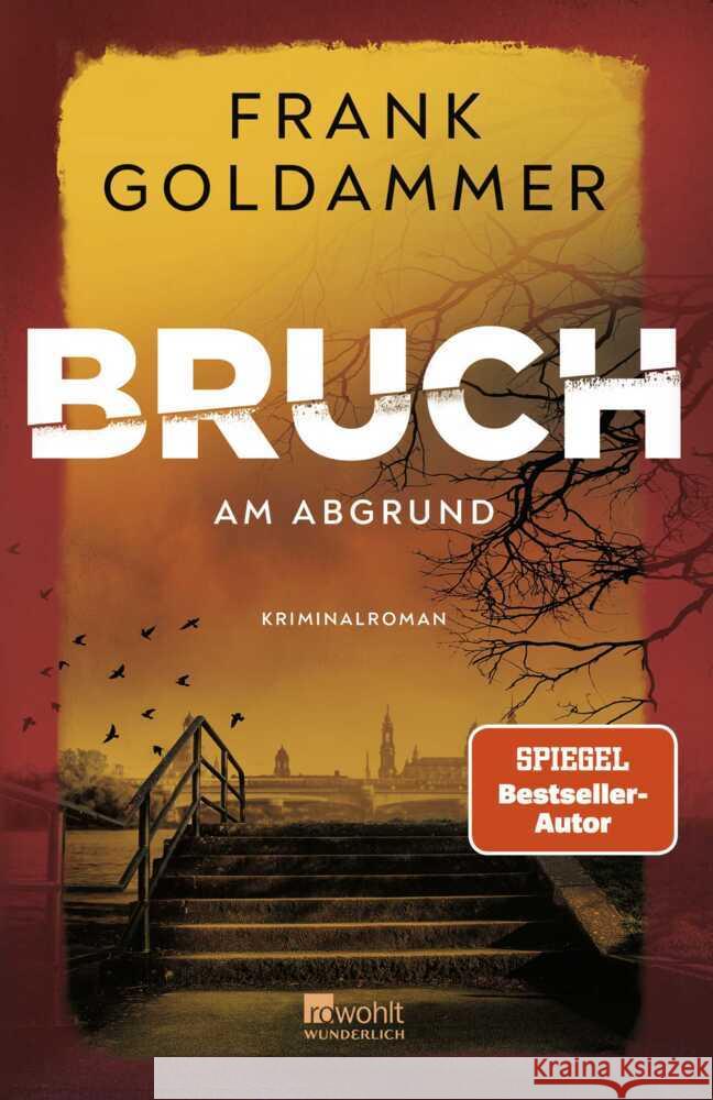 Bruch: Am Abgrund Goldammer, Frank 9783805201148 Wunderlich - książka