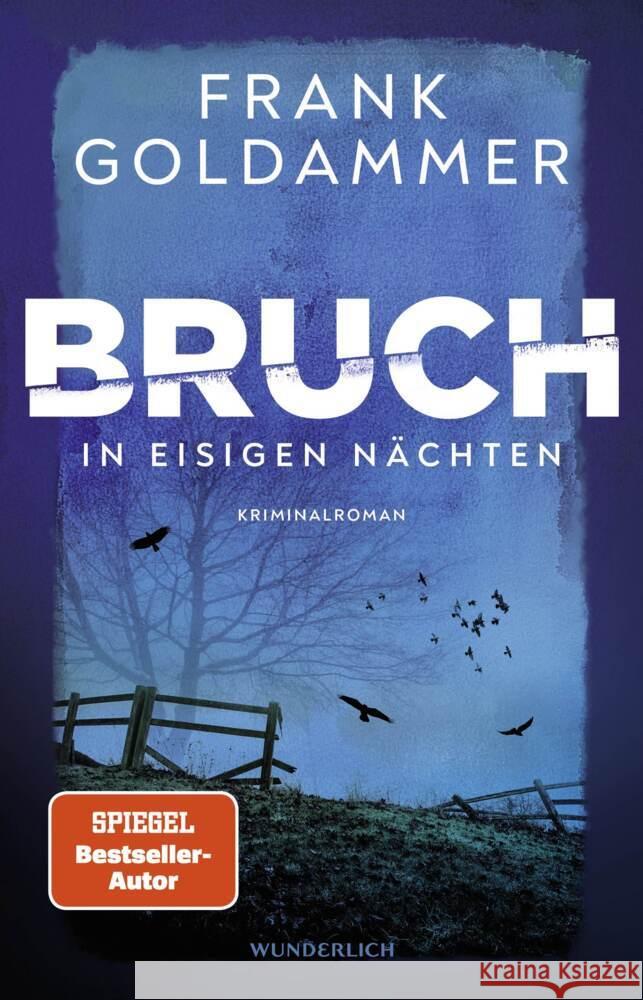 Bruch: In eisigen Nächten Goldammer, Frank 9783805200912 Wunderlich - książka