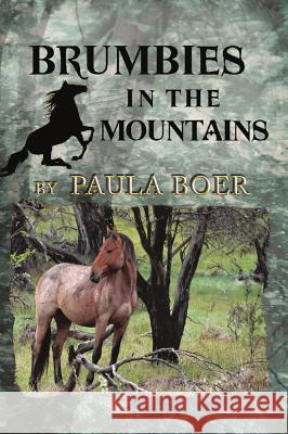 Brumbies in the Mountains Paula Boer 9781925759426 Ifwg Publishing International - książka