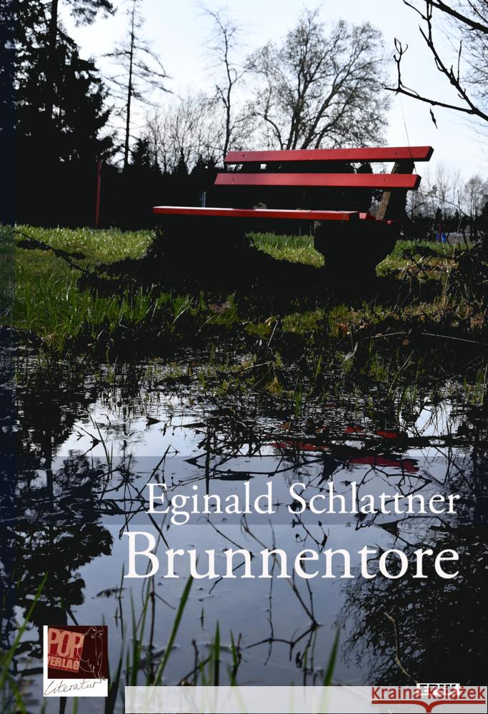 Brunnentore Schlattner, Eginald 9783863563998 POP Verlag - książka