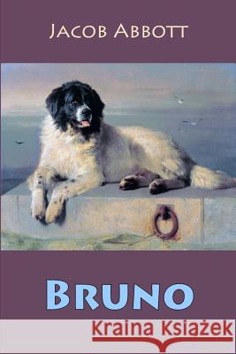 Bruno Jacob Abbott 9781539093442 Createspace Independent Publishing Platform - książka