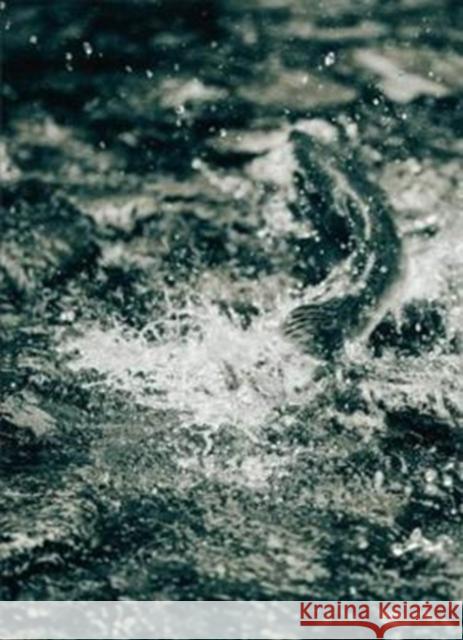 Bruno Augsburger - Gone Fishing    9783906822037 Sturm & Drang - książka