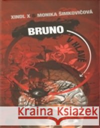 Bruno v hlavě Xindl X 9788072626625 Galén - książka