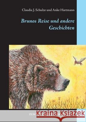 Brunos Reise: und andere Geschichten Schulze, Claudia J. 9783746068794 Books on Demand - książka