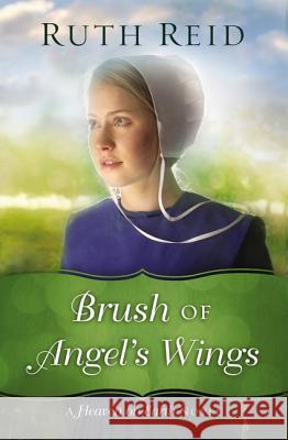 Brush of Angel's Wings Ruth Reid 9780718084271 Thomas Nelson - książka