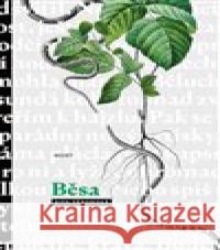 Běsa Dita Táborská 9788075775832 Host - książka