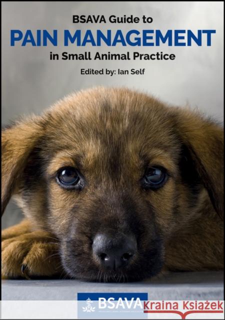 BSAVA Guide to Pain Management in Small Animal Practice  9781910443002 British Small Animal Veterinary Association - książka