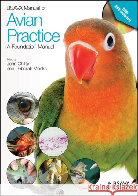 BSAVA Manual of Avian Practice: A Foundation Manual Chitty, John; Monks, Deborah 9781905319817 John Wiley & Sons - książka