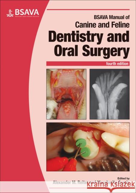 BSAVA Manual of Canine and Feline Dentistry and Oral Surgery  9781905319602  - książka