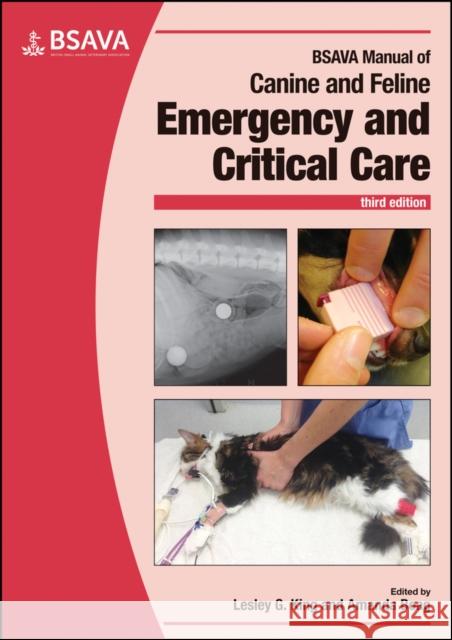BSAVA Manual of Canine and Feline Emergency and Critical Care  9781905319640 British Small Animal Veterinary Association - książka