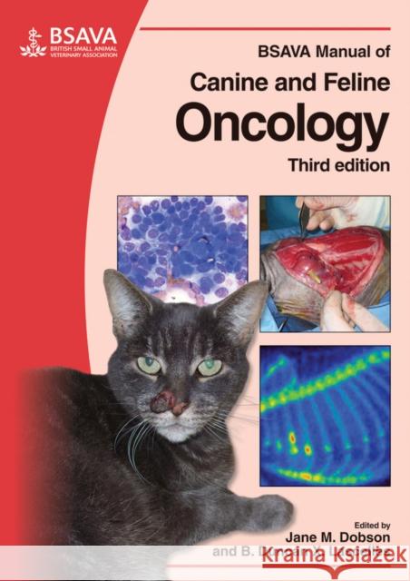 BSAVA Manual of Canine and Feline Oncology  9781905319213 BRITISH SMALL ANIMAL VETERINARY ASSOCIATION - książka