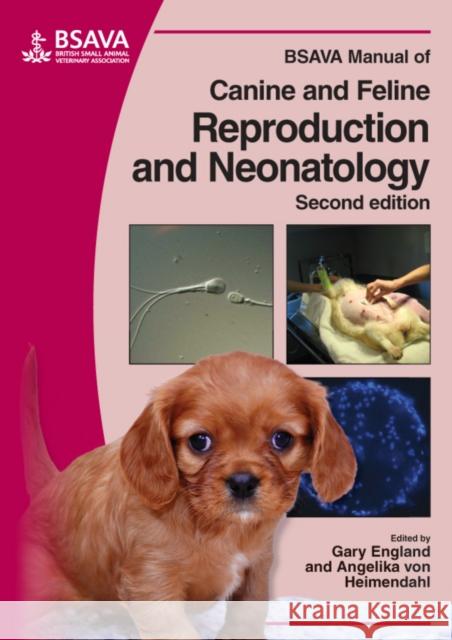 BSAVA Manual of Canine and Feline Reproduction and Neonatology G England 9781905319190 British Small Animal Veterinary Association - książka