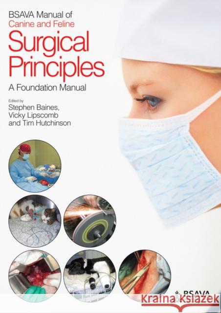 BSAVA Manual of Canine and Feline Surgical Principles: A Foundation Manual Baines, Stephen 9781905319251 BSAVA - książka