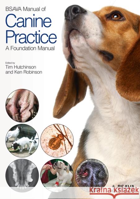 BSAVA Manual of Canine Practice: A Foundation Manual Hutchinson, Tim 9781905319480 British Small Animal Veterinary Association - książka