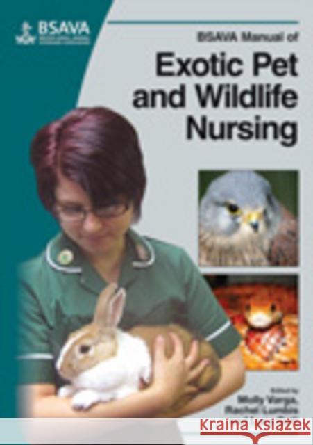 BSAVA Manual of Exotic Pet and Wildlife Nursing  9781905319350 BSAVA British Small Animal Veterinary Associa - książka