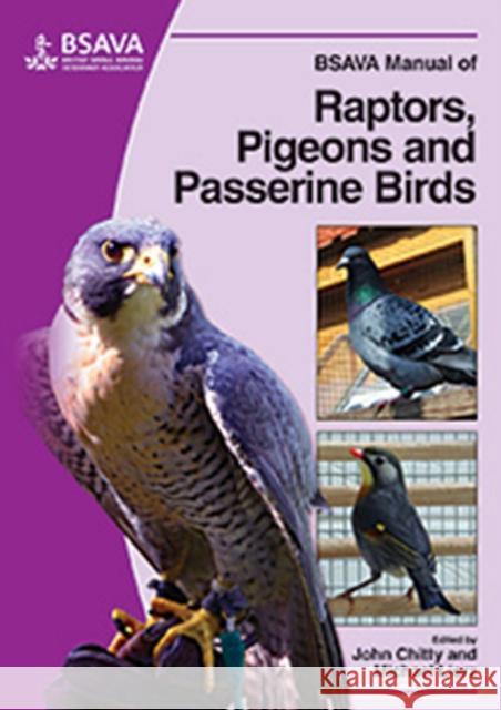 BSAVA Manual of Raptors, Pigeons and Passerine Birds John Chitty Michael Lierz 9781905319046 British Small Animal Veterinary Association - książka