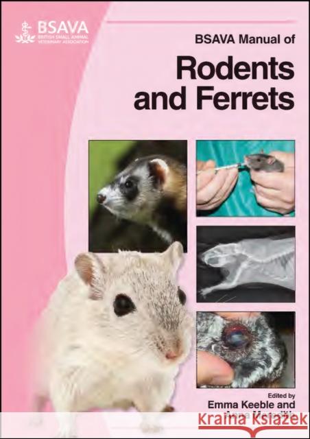 BSAVA Manual of Rodents and Ferrets Emma Keeble Anna Meredith 9781905319084 BSAVA - książka
