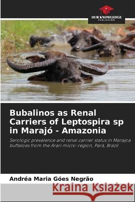 Bubalinos as Renal Carriers of Leptospira sp in Maraj? - Amazonia Andr?a Maria G?es Negr?o 9786207721757 Our Knowledge Publishing - książka