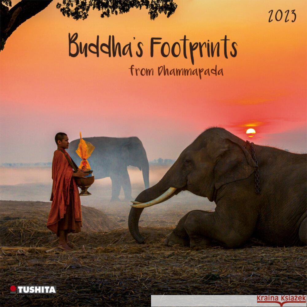 Buddhas Footprints 2023  9783959290081 Tushita - książka