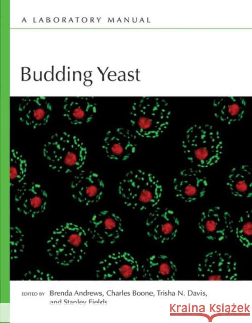 Budding Yeast: A Laboratory Manual Charles Boone Charles Boone Brenda Andrews 9781621820567 Cold Spring Harbor Laboratory Press - książka