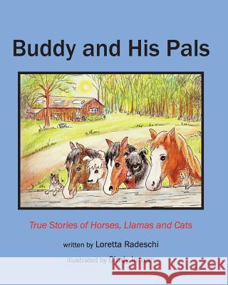 Buddy and His Pals: True stories of horses, llamas and cats Radeschi, Loretta 9781494305543 Createspace - książka