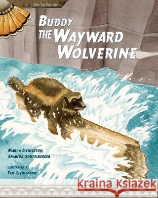 Buddy, the Wayward Wolverine Mary a. Livingston Amanda Shufelberger Tim Livingston 9780984775668 Red Tail Publishing - książka