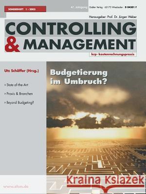 Budgetierung Im Umbruch ? Schäffer, Utz 9783409124249 Gabler Verlag - książka