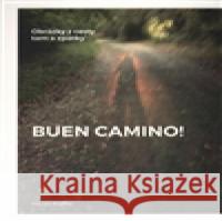 Buen Camino! Václav Kočka 9788087688564 Milan Hodek - książka