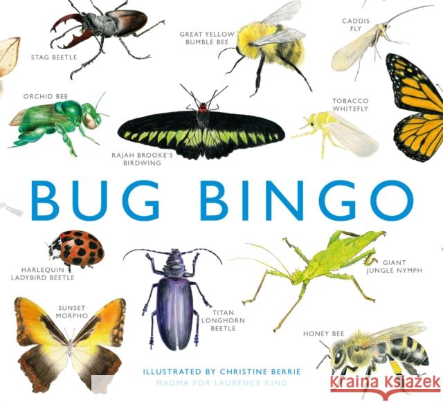 Bug Bingo Christine Berrie 9781856699402 Laurence King - książka