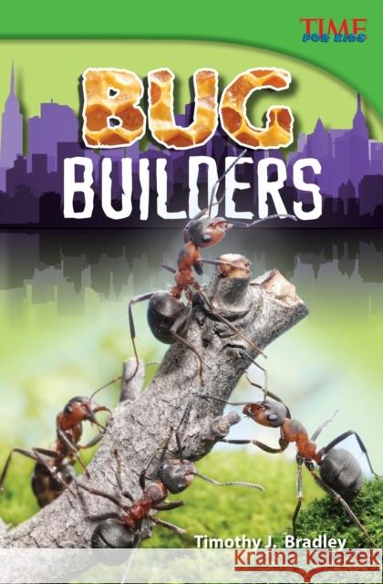 Bug Builders Bradley, Timothy J. 9781433348211 Teacher Created Materials - książka