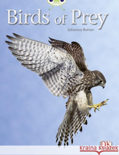 Bug Club Independent Non Fiction Year Two White A Birds of Prey Johanna Rohan 9780433004806 RIGBY - książka