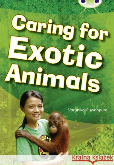 Bug Club Independent Non Fiction Year Two White A Caring for Exotic Animals Varunika Ruwanpura 9780433004813 RIGBY - książka