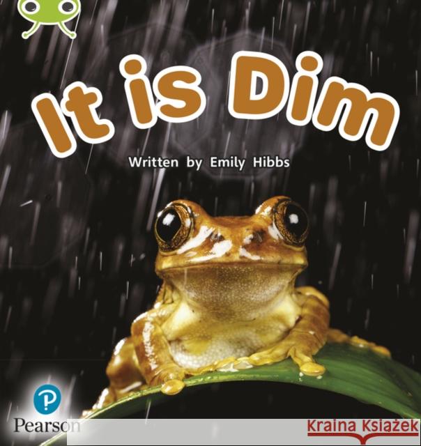 Bug Club Phonics - Phase 2 Unit 1-2: It is Dim Emily Hibbs 9781292407852 Pearson Education Limited - książka