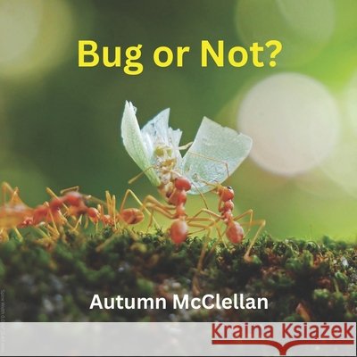 Bug or Not? Autumn McClellan 9798321824030 Independently Published - książka