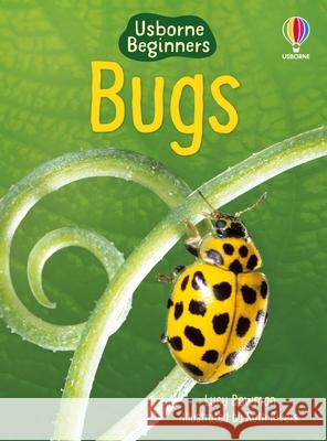 Bugs Lucy Bowman 9780746080375 Usborne Publishing Ltd - książka