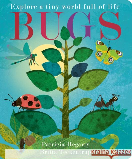 Bugs Patricia Hegarty 9781801046305 Little Tiger Press Group - książka