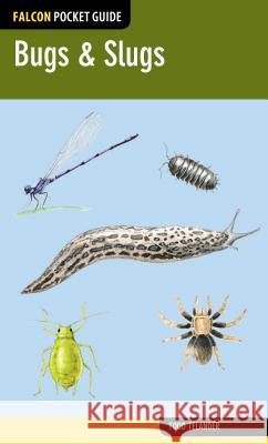 Bugs & Slugs Todd Telander 9780762784943 FalconGuide - książka
