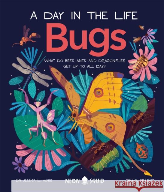 Bugs (A Day in the Life): What Do Bees, Ants, and Dragonflies Get up to All Day? SQUID  NEON 9781838991555 Priddy Books - książka