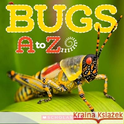 Bugs A to Z Kimberly Bayley Caroline Lawton 9780545273305 Scholastic Paperbacks - książka