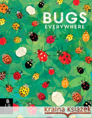 Bugs Everywhere Lily Murray Britta Teckentrup 9781536210422 Big Picture Press - książka