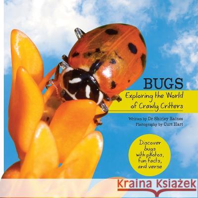 Bugs: Exploring the World of Crawly Critters Shirley Raines Curt Hart 9781486727025 Flowerpot Press - książka