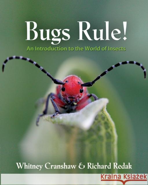 Bugs Rule!: An Introduction to the World of Insects Cranshaw, Whitney 9780691124957  - książka