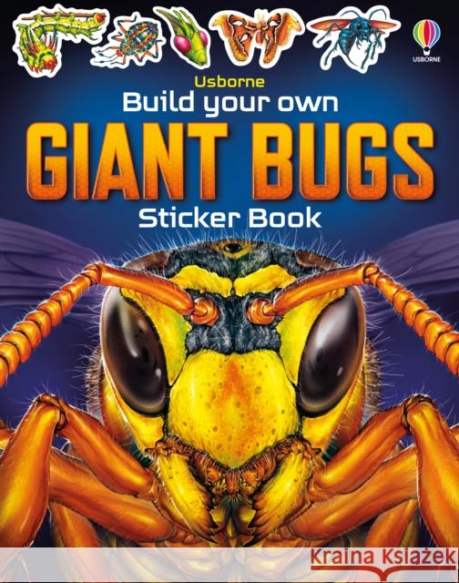 Build Your Own Giant Bugs Sticker Book Sam Smith 9781805312291 Usborne Publishing Ltd - książka