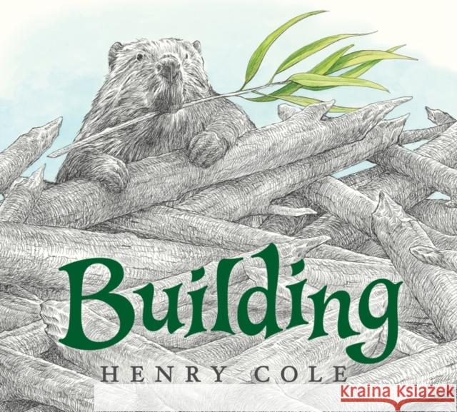 Building COLE  HENRY 9780063136557 HARPERCOLLINS WORLD - książka