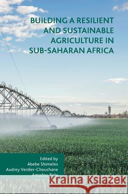 Building a Resilient and Sustainable Agriculture in Sub-Saharan Africa Abebe Shimeles Audrey Verdier-Chouchane Amadou Boly 9783319762210 Palgrave MacMillan - książka