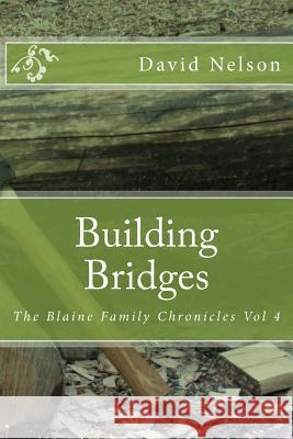 Building Bridges David Nelson 9781506144535 Createspace - książka