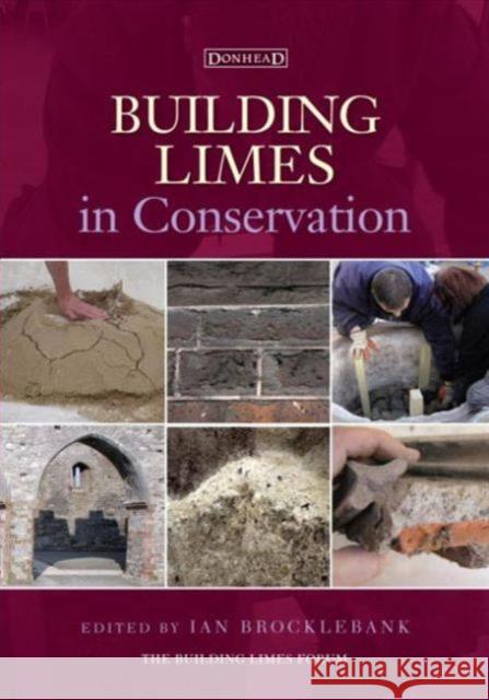 Building Limes in Conservation   9781873394953  - książka