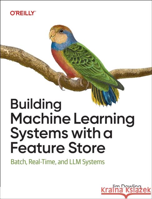Building Machine Learning Systems with a Feature Store: Batch, Real-Time, and LLM Systems Jim Dowling 9781098165239 O'Reilly Media - książka