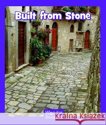 Built from Stone Layne Demarin 9781429679114 Capstone Press - książka