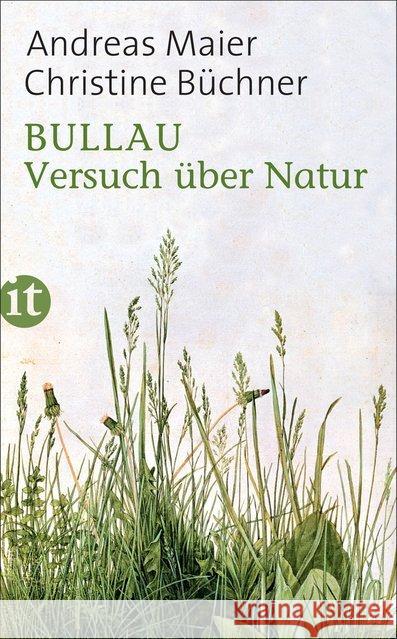 Bullau : Versuch über Natur Maier, Andreas; Büchner, Christine 9783458362814 Insel Verlag - książka